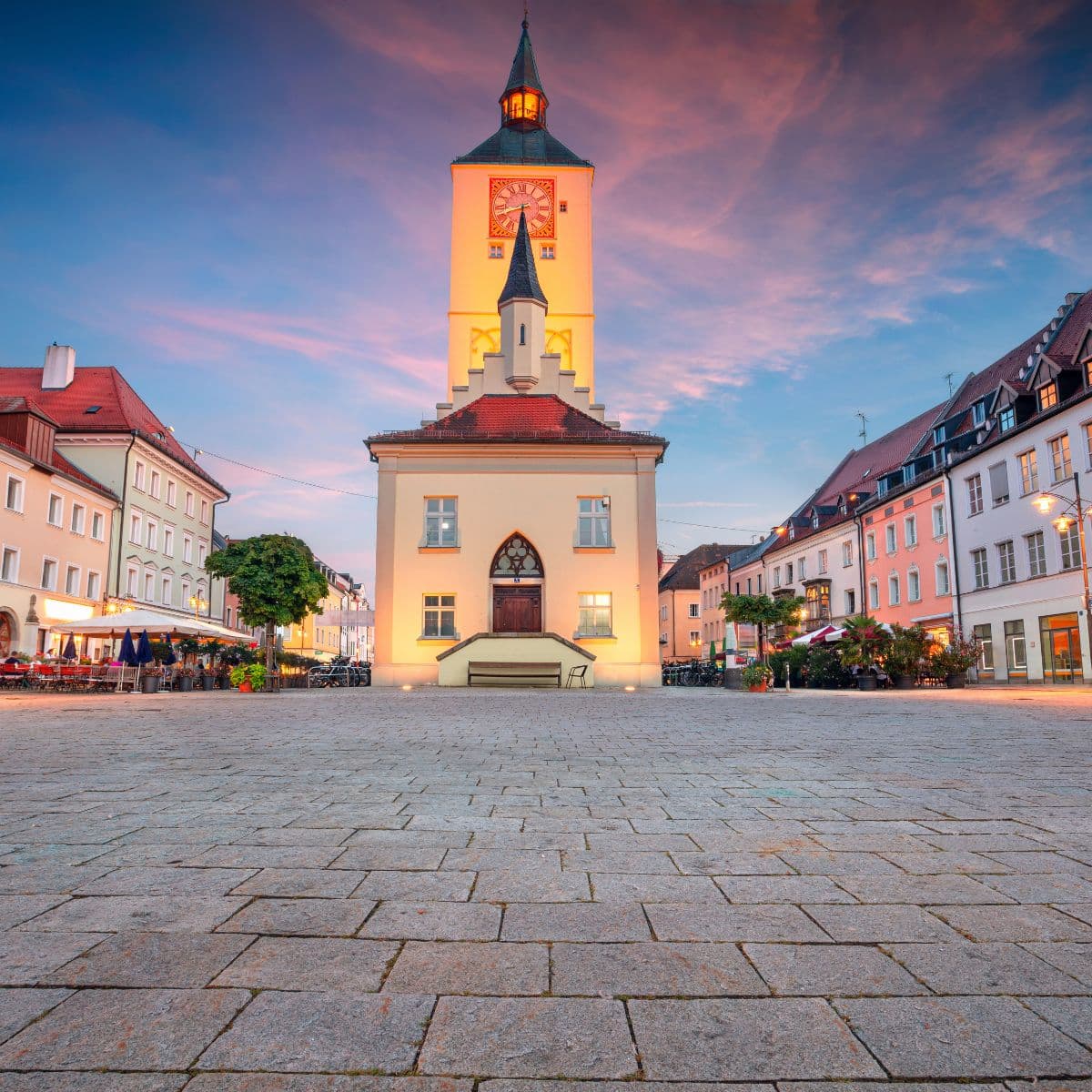 Schädlingsbekämpfung im Landkreis Deggendorf