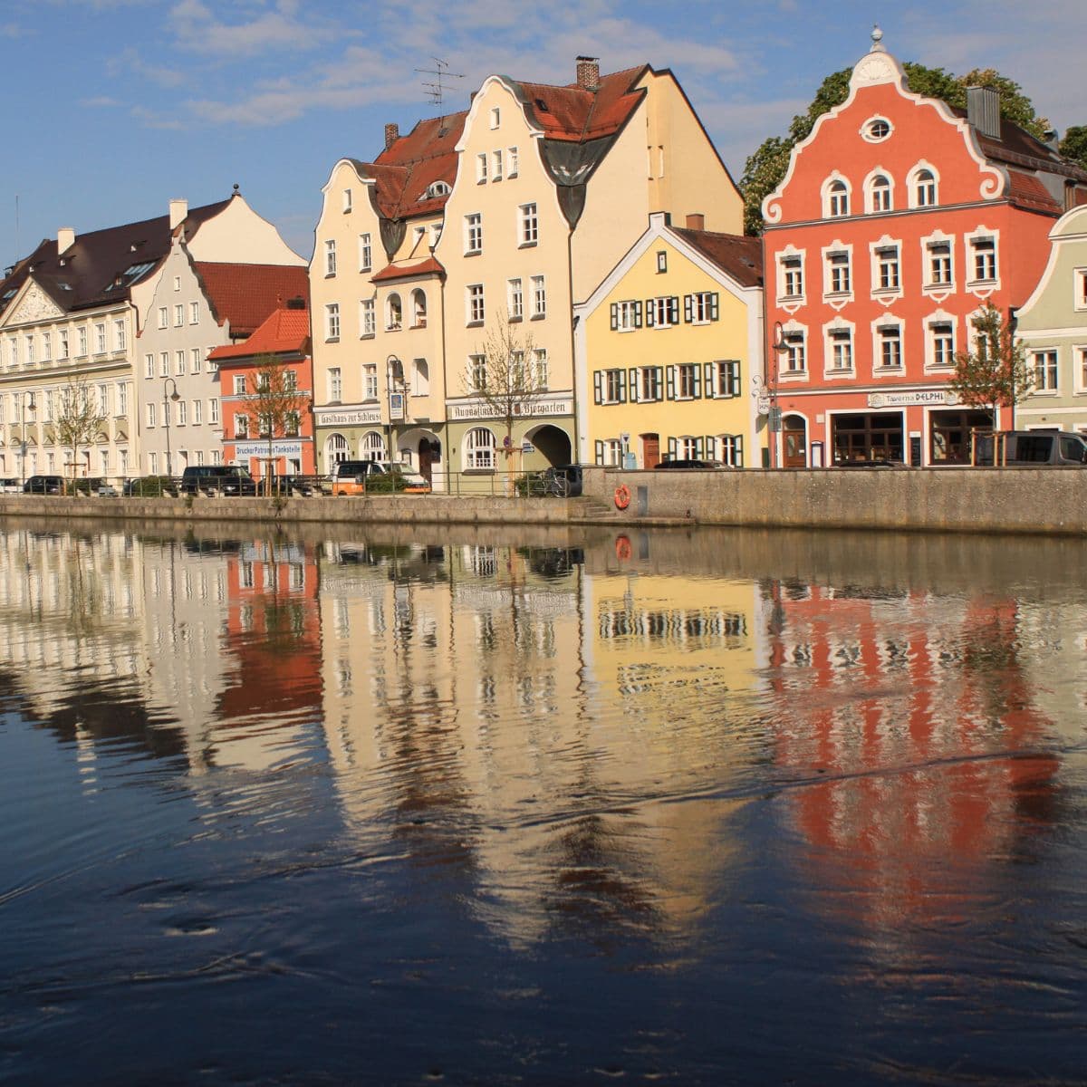 Schädlingsbekämpfung im Landkreis Landshut