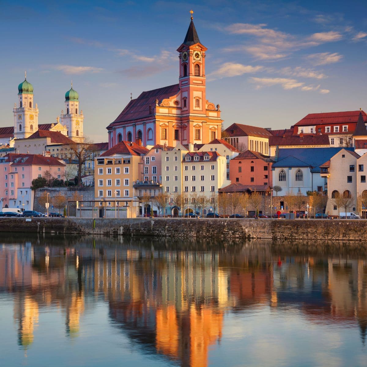 Schädlingsbekämpfung im Landkreis Passau