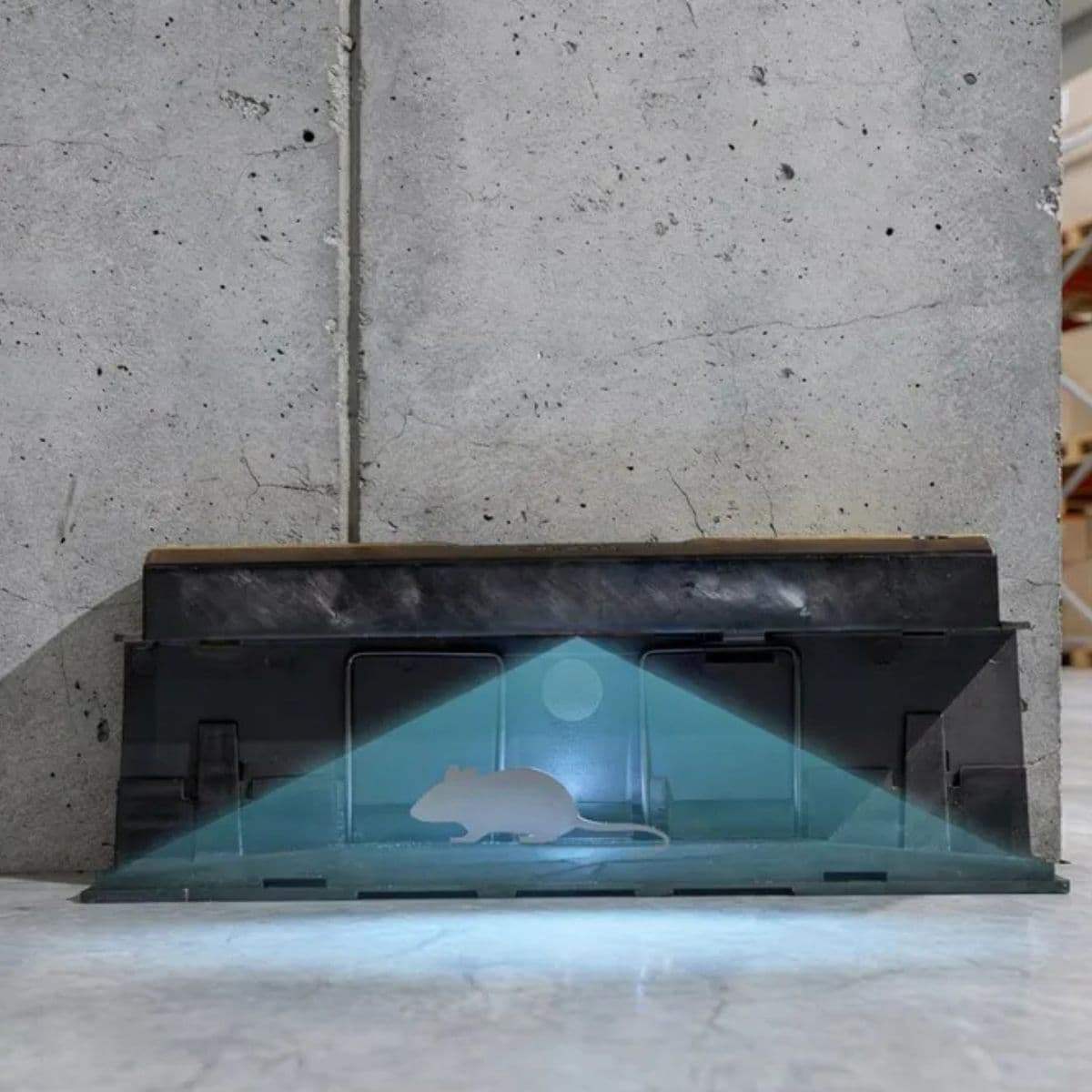 Digitale Schädlingsfallen mit Fernüberwachung